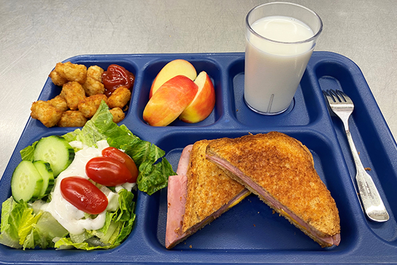 Salad, tater-tots, apple slices, Italian sandwich, and milk