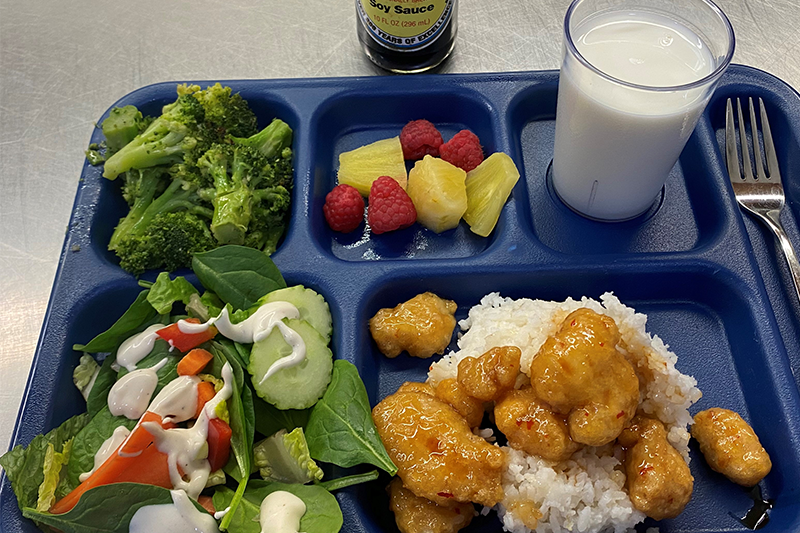 sweet and sour chicken with rice, pineapple and raspberries, broccoli, salad, milk, soy sauce on tray with fork