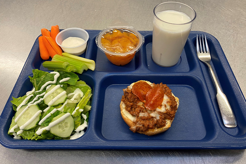 Salad, carrots, celery, oranges, milk, pizza on a tray