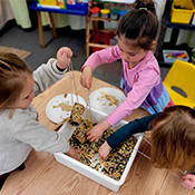 students working with bird seed