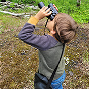 students looking for birds